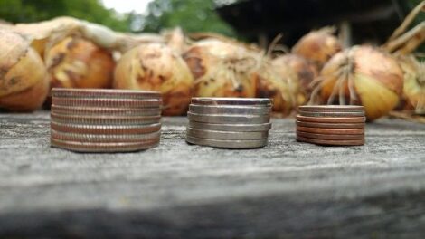 Frugal Living: Could we be Doing More? Image